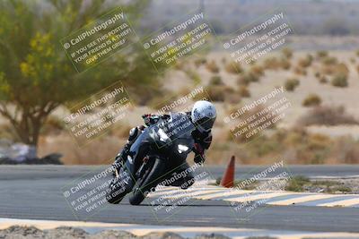 media/Apr-10-2022-SoCal Trackdays (Sun) [[f104b12566]]/Turn 5 Tree of Life (1040am)/